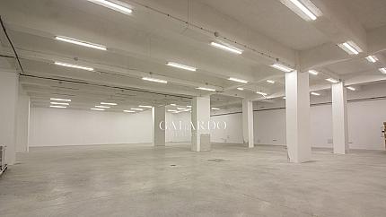 Spacious warehouse appropriate for different activities