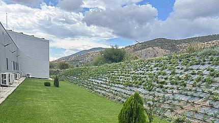 New modern winery and vineyards