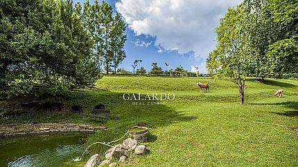 Unique house-ranch 20 minutes from Sofia