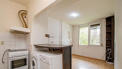 Sunny a one-bedroom apartment in the Nadezhda district