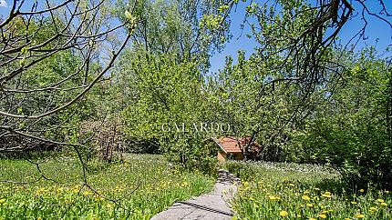 House with a large yard right next to the Botanical Garden