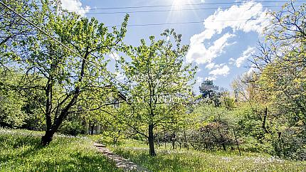Attractive plot of land next to the Botanical Garden