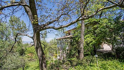 Attractive plot of land next to the Botanical Garden