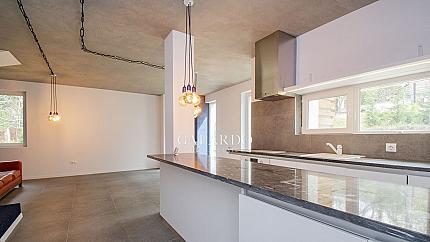 Detached house for rent in Dragalevtsi quarter
