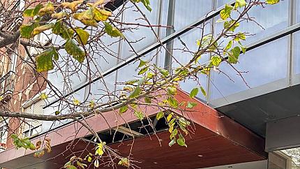 Офис под наем, Център