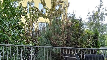 Луксозна къща под наем в затворен комплекс в Малинова долина