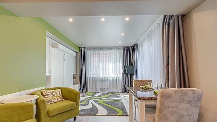 Stylish and cozy one-room apartment for rent in the center