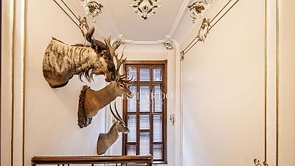 Уникален мезонет за продажба в престижна сграда в центъра на София