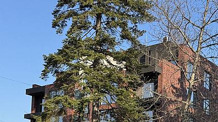 Тристаен апартамент за продажба във в.з.Американски колеж