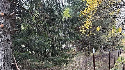 Равен парцел с лице във вилната зона на м-т Ярема